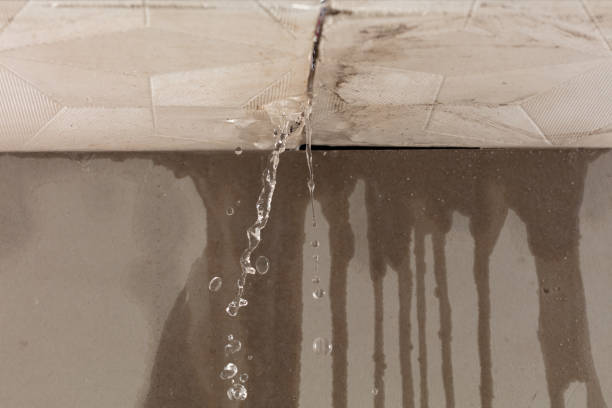 Professional Burst Pipe Cleanup technician working in Gates, OR